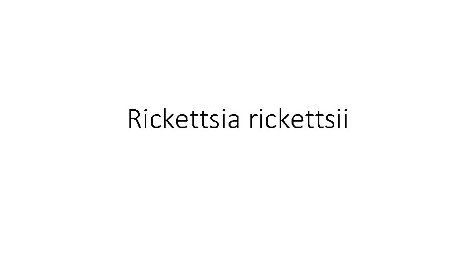 Rickettsia rickettsii 