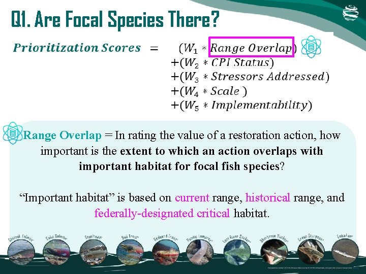 Q 1. Are Focal Species There? Range Overlap = In rating the value of Q 1. Are Focal Species There? Range Overlap = In rating the value of