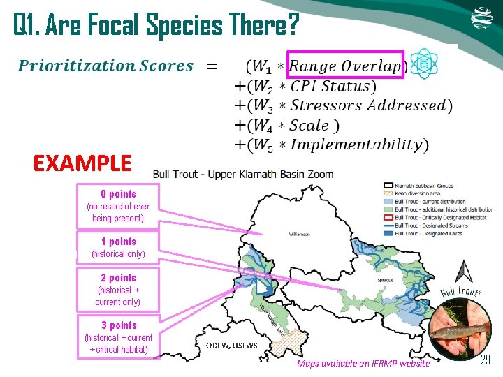 Q 1. Are Focal Species There? EXAMPLE 0 points (no record of ever being Q 1. Are Focal Species There? EXAMPLE 0 points (no record of ever being