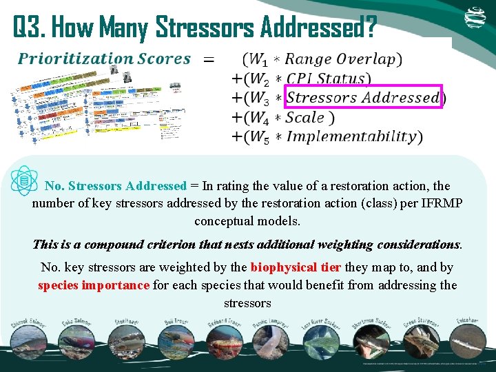 Q 3. How Many Stressors Addressed? No. Stressors Addressed = In rating the value Q 3. How Many Stressors Addressed? No. Stressors Addressed = In rating the value