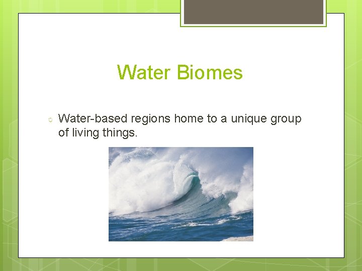 Water Biomes ○ Water-based regions home to a unique group of living things. 