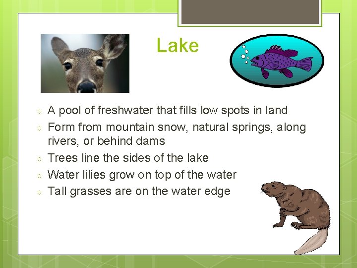 Lake ○ ○ ○ A pool of freshwater that fills low spots in land