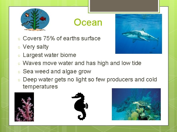 Ocean ○ ○ ○ Covers 75% of earths surface Very salty Largest water biome