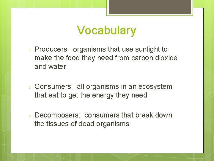 Vocabulary ○ Producers: organisms that use sunlight to make the food they need from