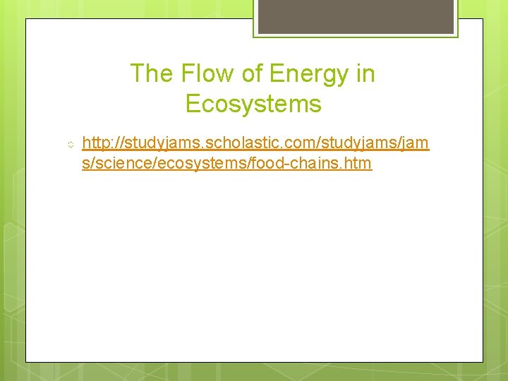 The Flow of Energy in Ecosystems ○ http: //studyjams. scholastic. com/studyjams/jam s/science/ecosystems/food-chains. htm 