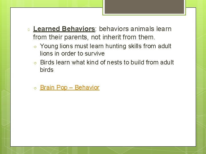 ○ Learned Behaviors: behaviors animals learn from their parents, not inherit from them. ○