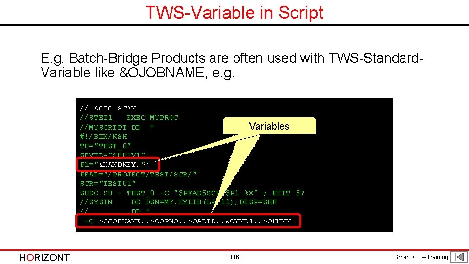 TWS-Variable in Script E. g. Batch-Bridge Products are often used with TWS-Standard. Variable like