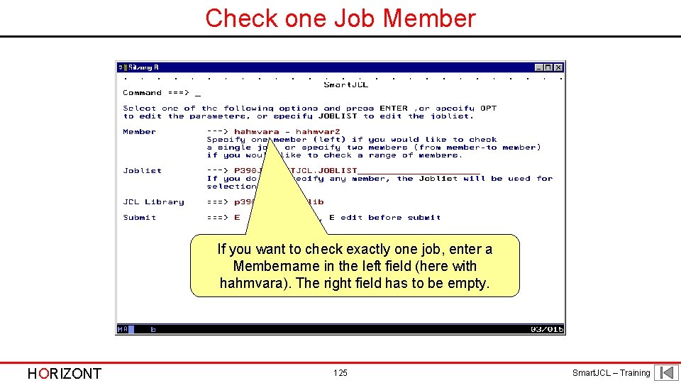 Check one Job Member If you want to check exactly one job, enter a