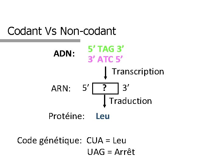 Expression du Gnome Le transcriptome Dchiffrage de lInformation