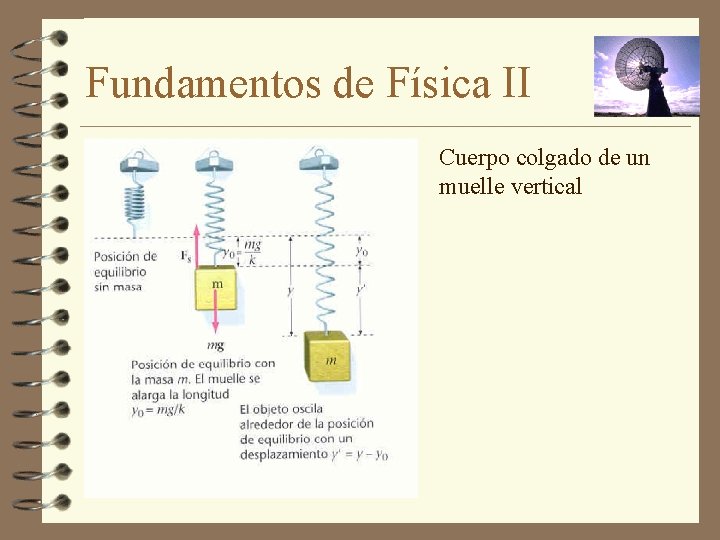 Fundamentos de Física II Cuerpo colgado de un muelle vertical 