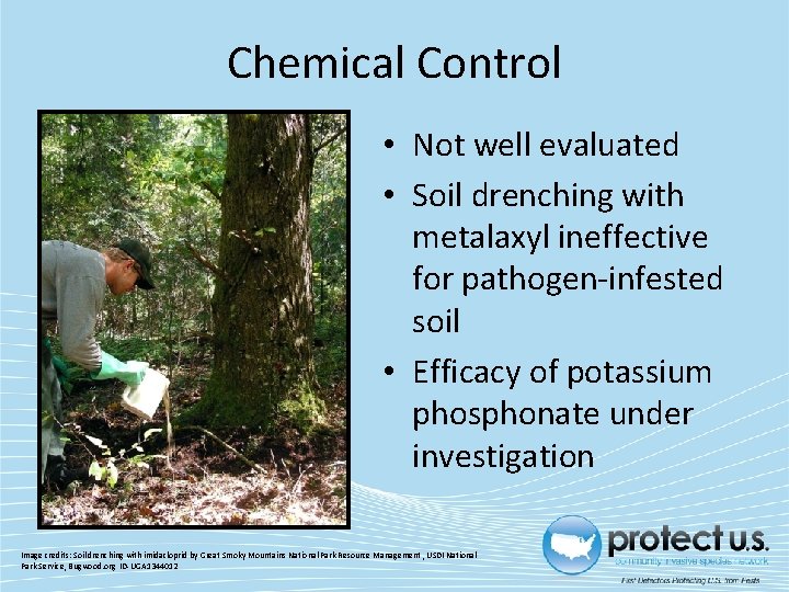 Chemical Control • Not well evaluated • Soil drenching with metalaxyl ineffective for pathogen-infested