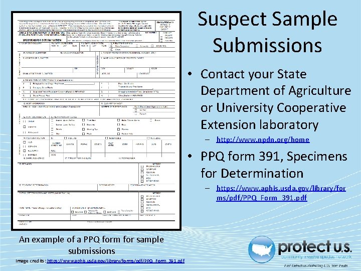Suspect Sample Submissions • Contact your State Department of Agriculture or University Cooperative Extension