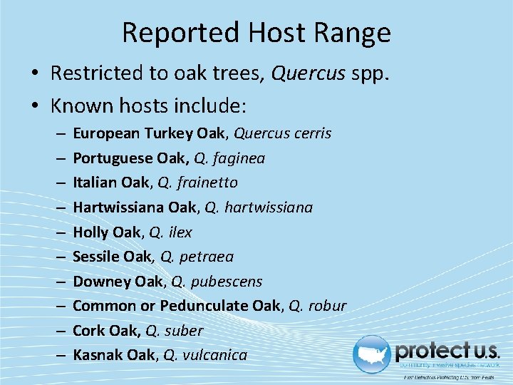 Reported Host Range • Restricted to oak trees, Quercus spp. • Known hosts include: