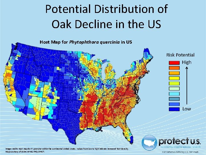Potential Distribution of Oak Decline in the US Host Map for Phytophthora quercinia in