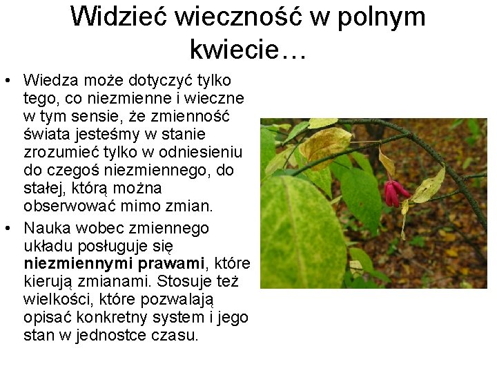 Widzieć wieczność w polnym kwiecie… • Wiedza może dotyczyć tylko tego, co niezmienne i
