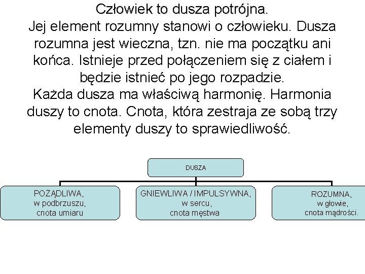 Człowiek to dusza potrójna. Jej element rozumny stanowi o człowieku. Dusza rozumna jest wieczna,