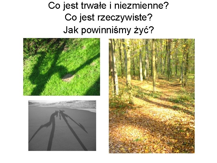 Co jest trwałe i niezmienne? Co jest rzeczywiste? Jak powinniśmy żyć? 