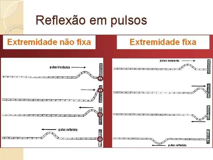 Reflexão em pulsos 