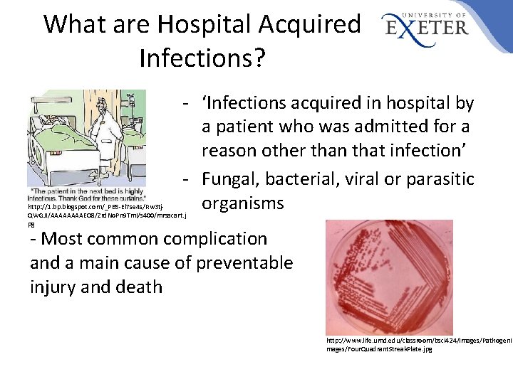 What are Hospital Acquired Infections? - ‘Infections acquired in hospital by a patient who