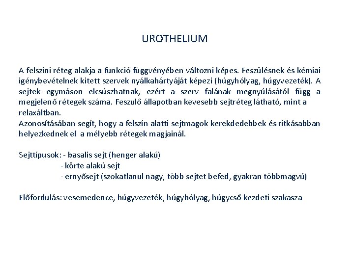 UROTHELIUM A felszíni réteg alakja a funkció függvényében változni képes. Feszülésnek és kémiai igénybevételnek