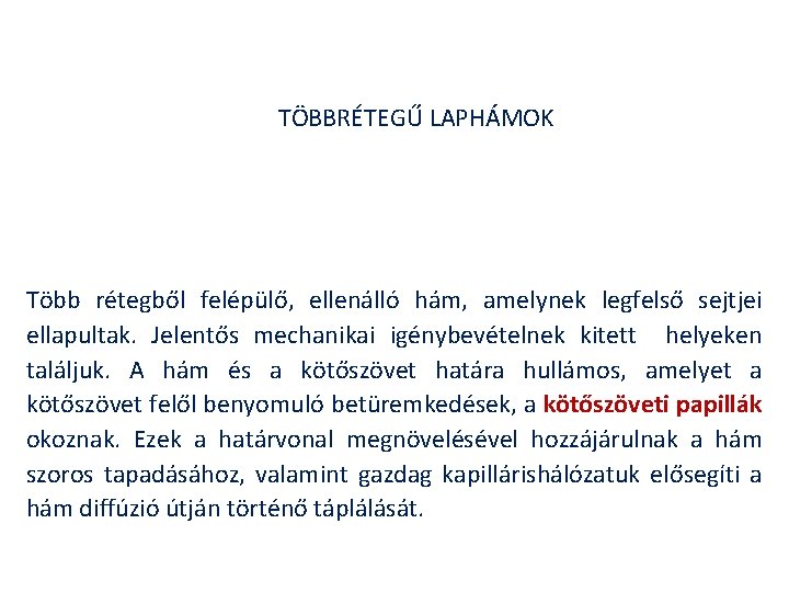 TÖBBRÉTEGŰ LAPHÁMOK Több rétegből felépülő, ellenálló hám, amelynek legfelső sejtjei ellapultak. Jelentős mechanikai igénybevételnek
