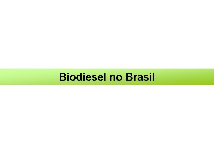 Biodiesel no Brasil 