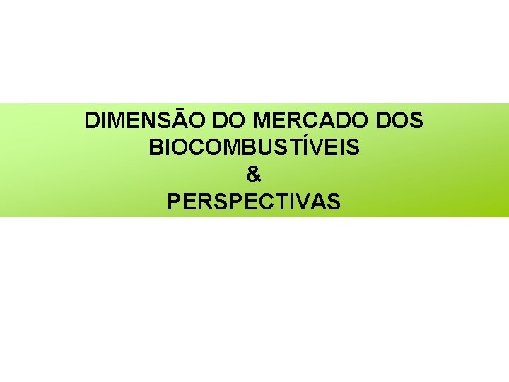 DIMENSÃO DO MERCADO DOS BIOCOMBUSTÍVEIS & PERSPECTIVAS 