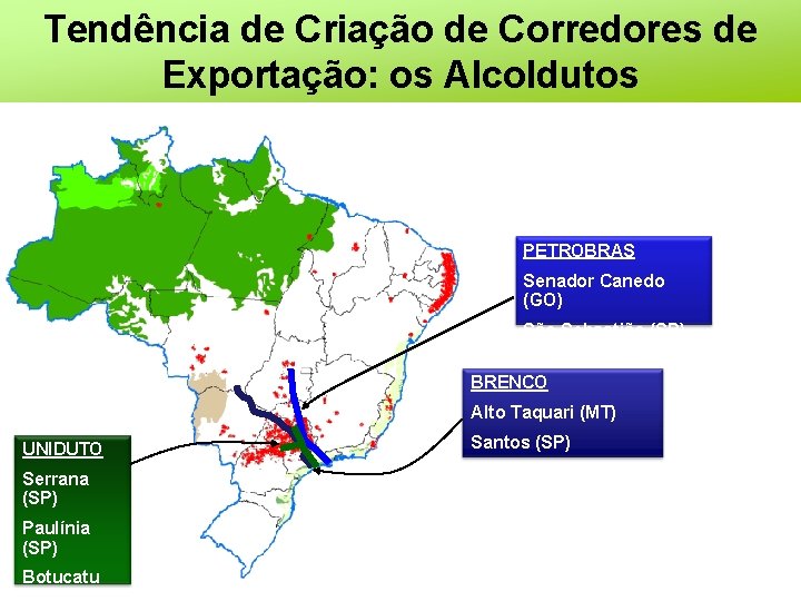 Tendência de Criação de Corredores de Exportação: os Alcoldutos PETROBRAS Senador Canedo (GO) São