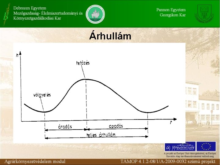 Árhullám 