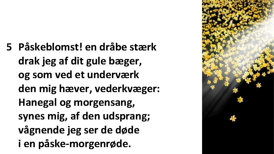 5 Påskeblomst! en dråbe stærk drak jeg af dit gule bæger, og som ved