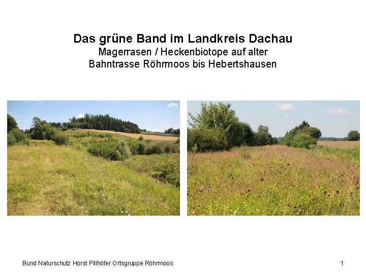 Das grüne Band im Landkreis Dachau Magerrasen / Heckenbiotope auf alter Bahntrasse Röhrmoos bis