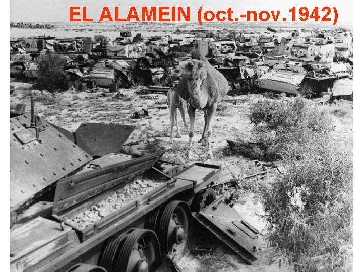 EL ALAMEIN (oct. -nov. 1942) 