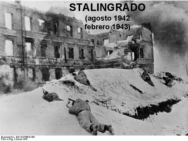 STALINGRADO (agosto 1942 febrero 1943) 