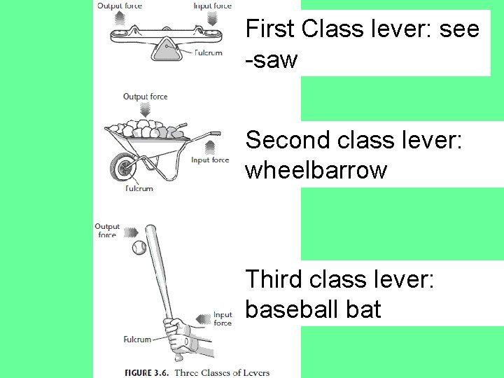 First Class lever: see -saw Second class lever: wheelbarrow Third class lever: baseball bat