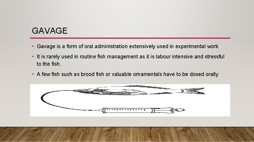 GAVAGE • Gavage is a form of oral administration extensively used in experimental work