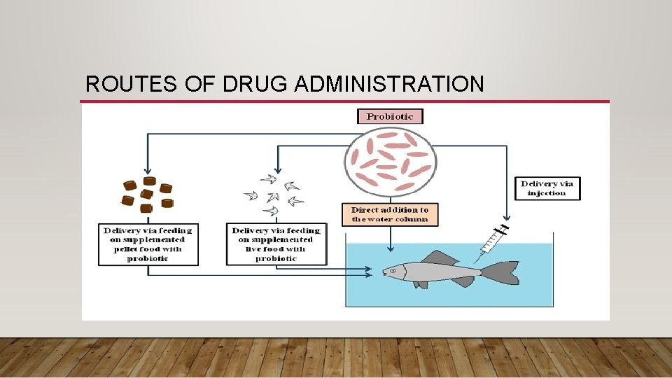 ROUTES OF DRUG ADMINISTRATION 