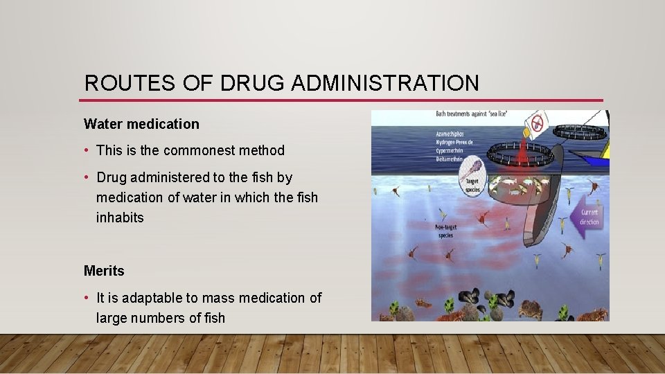 ROUTES OF DRUG ADMINISTRATION Water medication • This is the commonest method • Drug