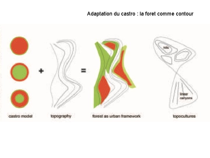 Adaptation du castro : la foret comme contour 