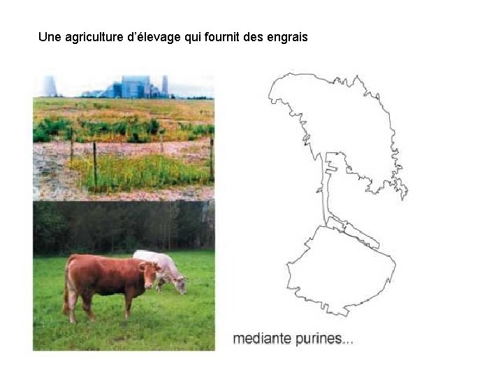 Une agriculture d’élevage qui fournit des engrais 