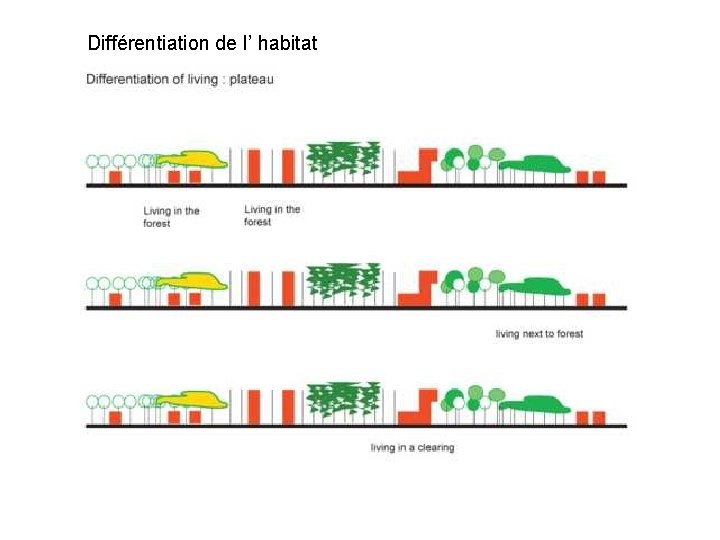 Différentiation de l’ habitat 