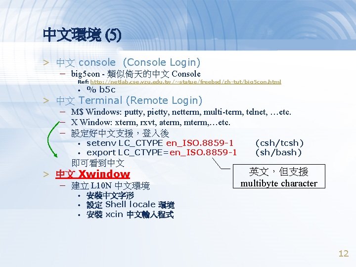 中文環境 (5) > 中文 console (Console Login) – big 5 con - 類似倚天的中文 Console