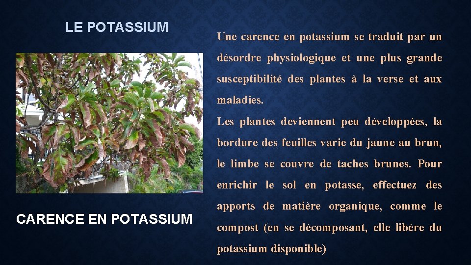 LE POTASSIUM Une carence en potassium se traduit par un désordre physiologique et une