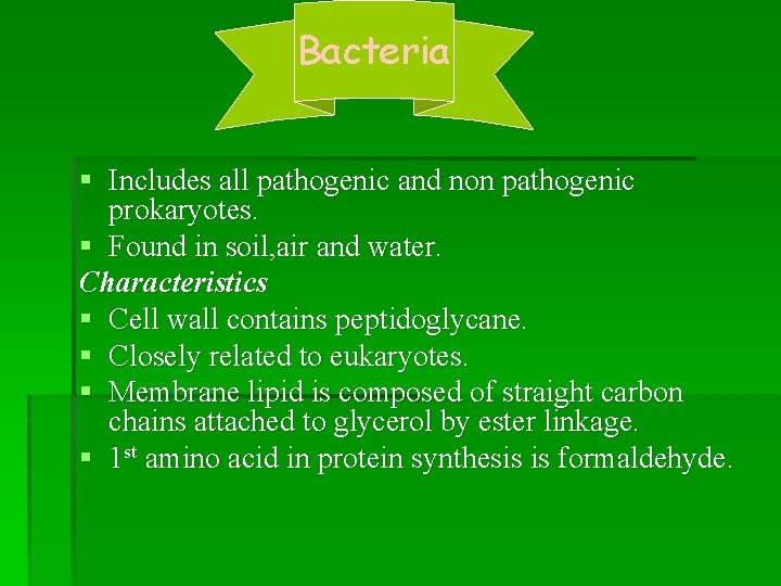 Bacteria § Includes all pathogenic and non pathogenic prokaryotes. § Found in soil, air