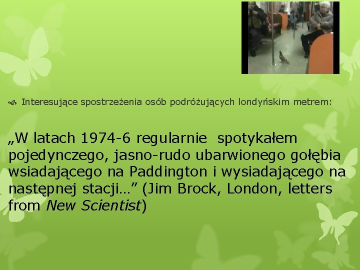  Interesujące spostrzeżenia osób podróżujących londyńskim metrem: „W latach 1974 -6 regularnie spotykałem pojedynczego,