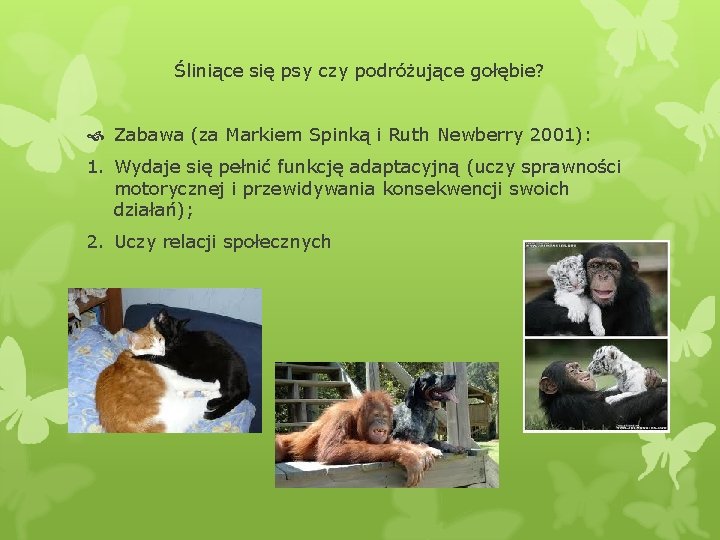 Śliniące się psy czy podróżujące gołębie? Zabawa (za Markiem Spinką i Ruth Newberry 2001):