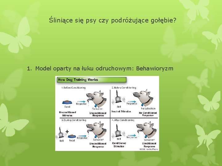 Śliniące się psy czy podróżujące gołębie? 1. Model oparty na łuku odruchowym: Behawioryzm 