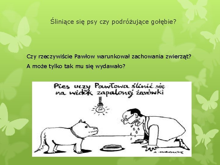 Śliniące się psy czy podróżujące gołębie? Czy rzeczywiście Pawłow warunkował zachowania zwierząt? A może