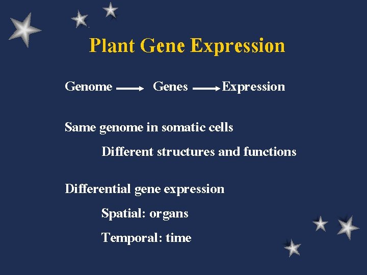 Plant Gene Expression Genome Genes Expression Same genome in somatic cells Different structures and