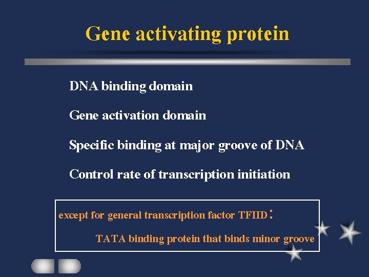 Gene activating protein DNA binding domain Gene activation domain Specific binding at major groove