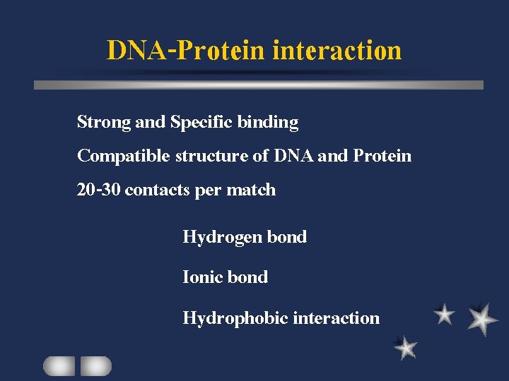 DNA-Protein interaction Strong and Specific binding Compatible structure of DNA and Protein 20 -30